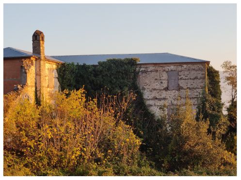 The Favre mansion (back).