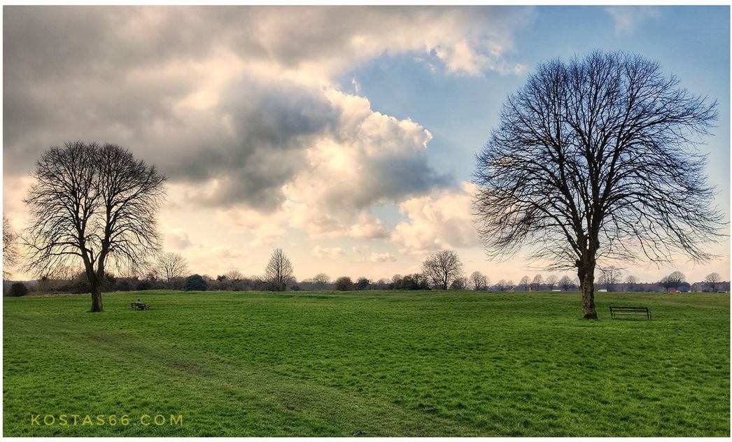 Clifton Downs.