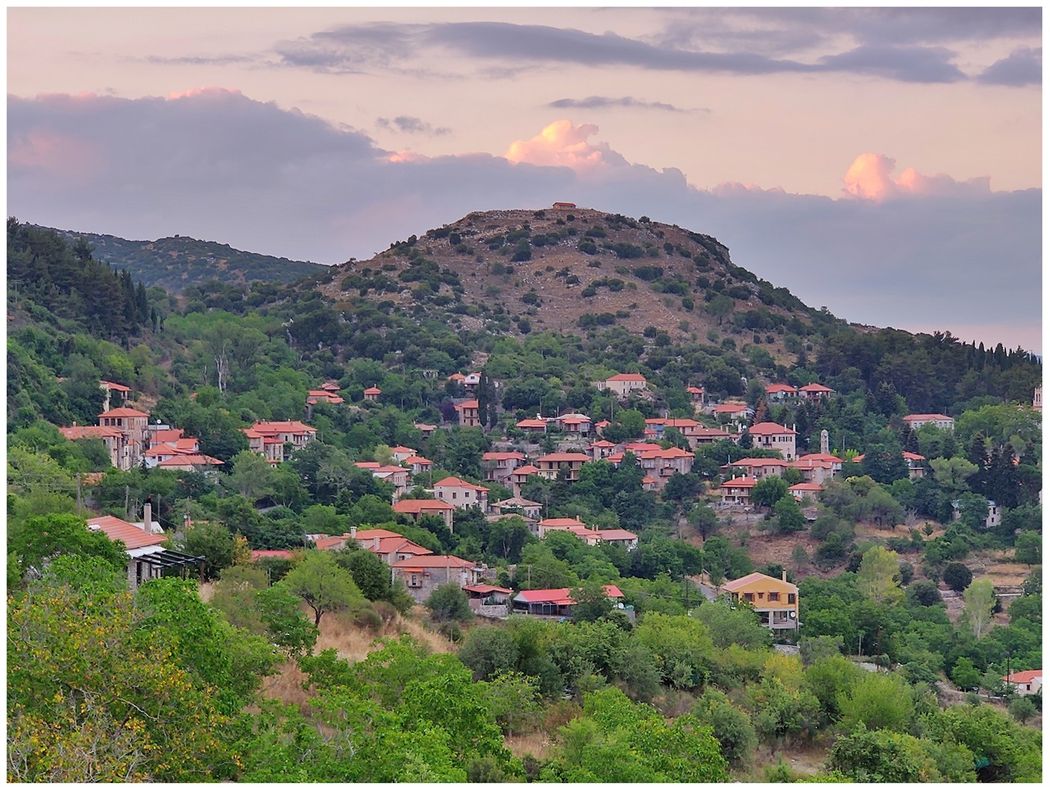 Zatouna.