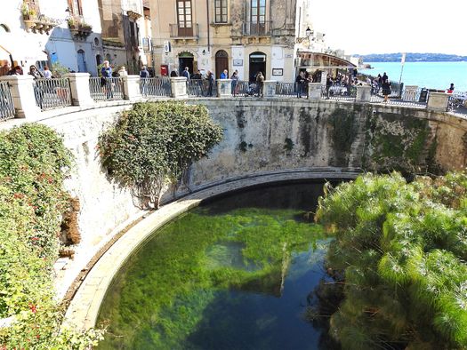 Fonte Aretusa (Arethusa Fountain) in Ortygia.