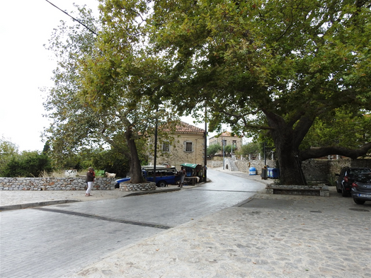 The square of Platanos Village with the big plane tree.