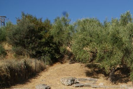 The ancient theater of Gytheio.