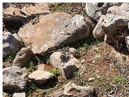 Carved stones are scattered all over the place.