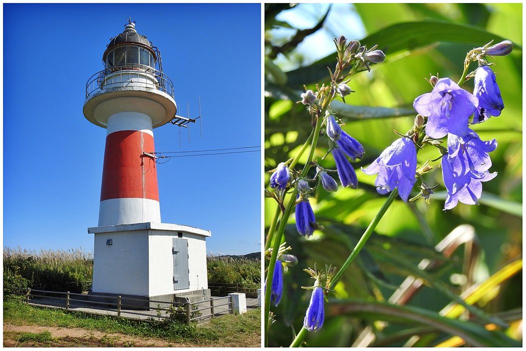 Cape Shakode Lighthouse.