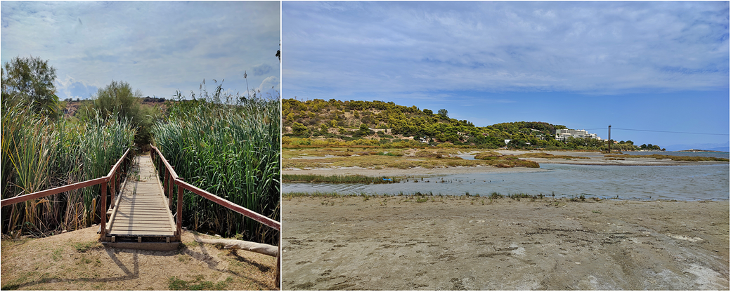 The Erasimos river and its wetland.